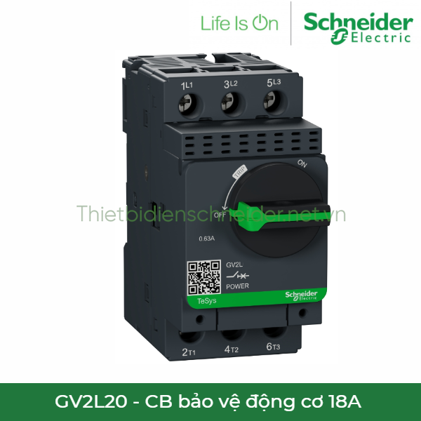GV2L20 Schneider - CB bảo vệ động cơ 18A 
